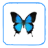 ButterflyUthpia